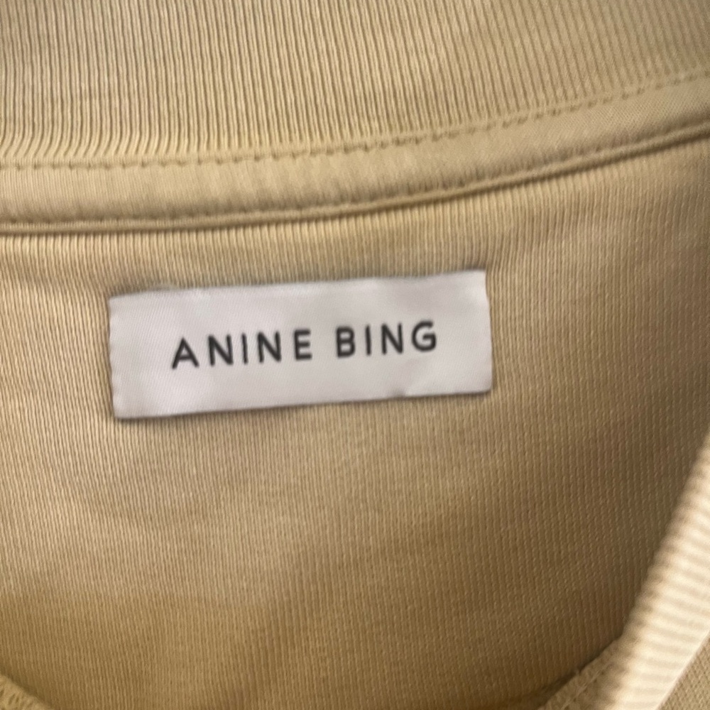 Anine Bing